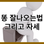 똥 잘나오는법과 자세 3가지 알아보기_건강한 배변습관 가꾸기