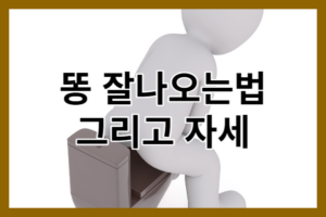 똥 잘나오는법과 자세 3가지 알아보기_건강한 배변습관 가꾸기