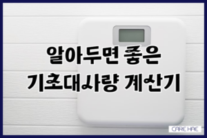 기초대사량 계산기로 정확한 에너지 섭취 파악하기,식단 조절의 핵심