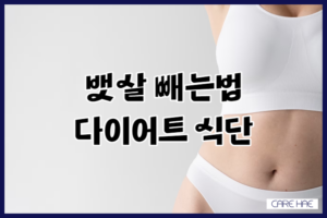 뱃살 빼는법과 다이어트 식단 꿀팁