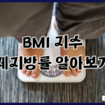 비만도 계산기 BMI 체질량 지수 평균 체지방률 계산법