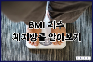 비만도 계산기 BMI 체질량 지수 평균 체지방률 계산법