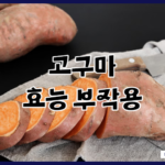 고구마 효능 효과 부작용 총정리 맛있는 겨울간식