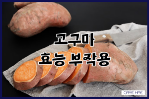 고구마 효능 효과 부작용 총정리 맛있는 겨울간식