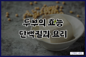 두부 효능 효과 풍부한 단백질 함량과 다양한 요리방법