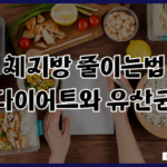 체지방 줄이는법 다이어트 식단과 유산균 추천