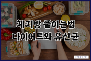 체지방 줄이는법 다이어트 식단과 유산균 추천