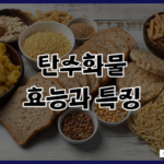 탄수화물 효능과 특징 종류별 칼로리 탄수화물 중독증