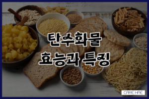 탄수화물 효능과 특징 종류별 칼로리 탄수화물 중독증