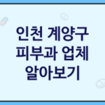 인천 계양구 피부과 대표 피부과 추천 3곳, 피부젊어지는 비결, 피부미용샵, 로션