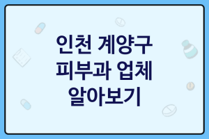 인천 계양구 피부과 대표 피부과 추천 3곳, 피부젊어지는 비결, 피부미용샵, 로션