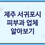 제주 서귀포시 피부과 좋은 업체 추천 TOP3, 피부모공, 피부보조, 원데이필