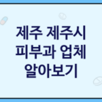 제주 제주시 피부과 괜찮은 업체 추천 TOP3, 피부젊어지는 비결, 피부모공, 필러