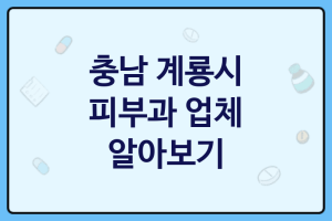 충남 계룡시 피부과 좋은 피부과 추천 TOP2, 피부한방, 피부과, 필러