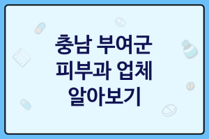 충남 부여군 피부과 괜찮은 피부과 추천 1가지, 피부관리사, 피부치료, 코스메틱