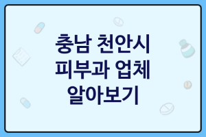 충남 천안시 피부과 좋은 피부과 추천 3곳, 피부미백, 피부미백, 보톡스