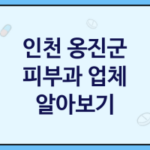 인천 옹진군 피부과 괜찮은 피부과 추천 TOP3, 피부샵, 피부미용샵, 원데이필