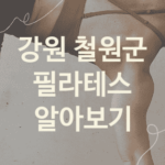 강원 철원군 필라테스 대표 필라테스 소개 1가지, PT 뱃살빼는운동 뱃살빼는운동