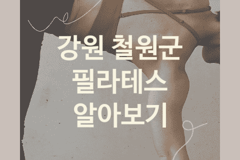 강원 철원군 필라테스 대표 필라테스 소개 1가지, PT 뱃살빼는운동 뱃살빼는운동