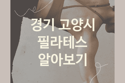 경기 고양시 필라테스 괜찮은 필라테스 소개 BEST5, 스트레칭 뱃살빼는운동 헬스