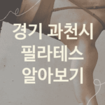 경기 과천시 필라테스 좋은 필라테스 소개 5가지, 뱃살빼는운동 기구필라테스 자세교정