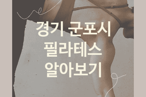 경기 군포시 필라테스 대표 필라테스 추천 TOP5, 골반교정 트레이닝 스트레칭