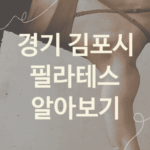 경기 김포시 필라테스 대표 필라테스 추천 5곳, 뱃살빼는운동 운동치료 크로스핏