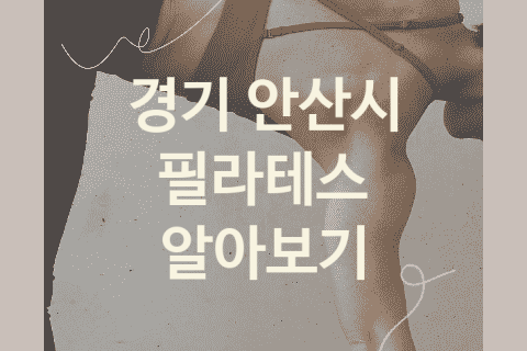 경기 안산시 필라테스 좋은 필라테스 추천 5곳, 피티 헬스 운동