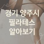 경기 양주시 필라테스 좋은 필라테스 추천 5가지, 요가 기구필라테스 운동치료