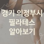 경기 의정부시 필라테스 대표 필라테스 추천 5가지, 운동치료 피트니스 스트레칭