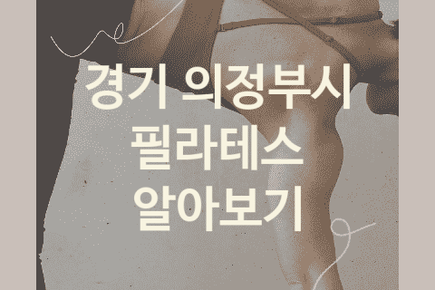 경기 의정부시 필라테스 대표 필라테스 추천 5가지, 운동치료 피트니스 스트레칭