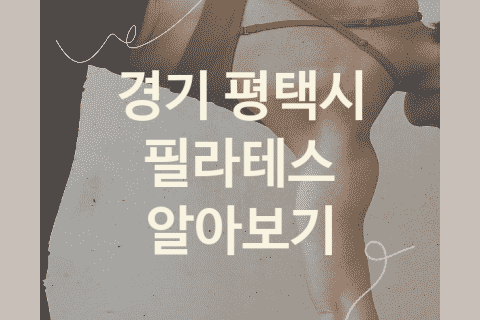 경기 평택시 필라테스 괜찮은 필라테스 소개 BEST5, 재활운동 운동기구 헬스