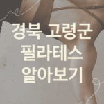 경북 고령군 필라테스 좋은 필라테스 추천 3곳, 운동치료 트레이닝 피트니스