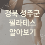 경북 성주군 필라테스 괜찮은 필라테스 소개 1가지, 자세교정 레깅스 피트니스