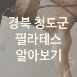 경북 청도군 필라테스 괜찮은 필라테스 추천 5가지, PT 헬스 뱃살빼는운동