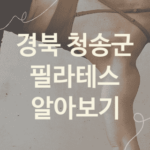 경북 청송군 필라테스 대표 필라테스 추천 2가지, PT 뱃살빼는운동 기구필라테스