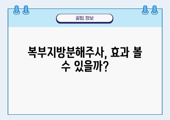 복부지방분해주사, 효과적인 시술 선택 가이드 | 비용, 부작용, 후기, 추천 병원 정보