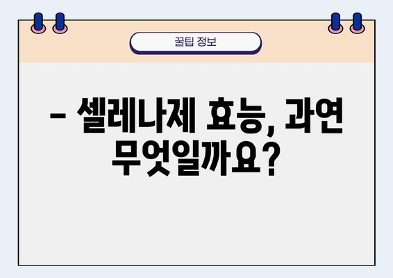 셀레나제 효능과 부작용 완벽 정리 | 소화불량, 위장장애, 셀레나제 복용 가이드