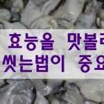 굴 효능, 씻는법이 중요 음식 건강 미용