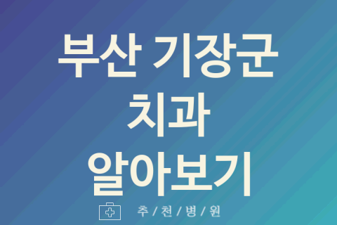 기장군 치과 괜찮은 부산 업체 소개 5곳 잇몸치료 시린이