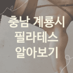 충남 계룡시 필라테스 괜찮은 필라테스 소개 5가지, 운동치료 헬스장 뱃살빼는운동