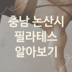 충남 논산시 필라테스 대표 필라테스 소개 5곳, 뱃살빼는운동 PT PT샵