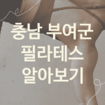 충남 부여군 필라테스 괜찮은 필라테스 소개 3곳, 뱃살빼는운동 운동치료 운동기구