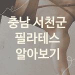 충남 서천군 필라테스 좋은 필라테스 소개 3가지, 뱃살빼는운동 골반교정 헬스