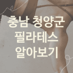 충남 청양군 필라테스 좋은 필라테스 소개 2가지, 운동기구 PT샵 PT샵