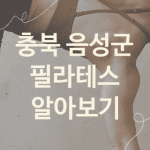 충북 음성군 필라테스 좋은 필라테스 소개 3가지, 피트니스 재활운동 기구필라테스