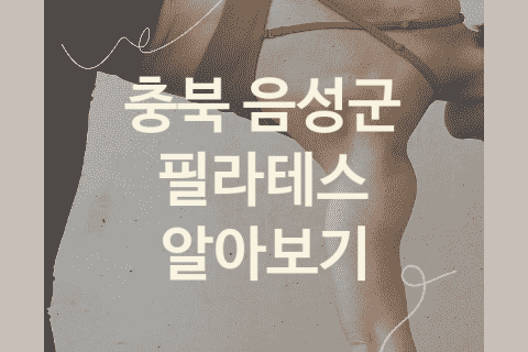 충북 음성군 필라테스 좋은 필라테스 소개 3가지, 피트니스 재활운동 기구필라테스