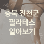 충북 진천군 필라테스 괜찮은 필라테스 추천 5가지, 재활운동 뱃살빼는운동 운동치료