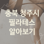 충북 청주시 필라테스 좋은 필라테스 소개 5가지, 레깅스 요가 헬스장