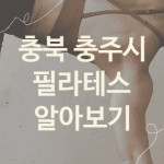 충북 충주시 필라테스 좋은 필라테스 소개 5곳, 레깅스 재활운동 운동치료